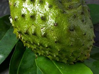 La guanábana es un tipo de fruta que se