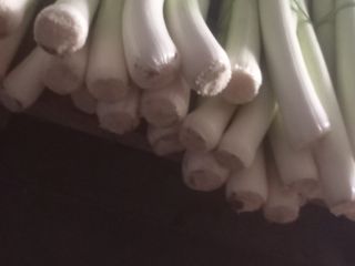 La venta de temporada larga es apta para bandejas,