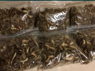 Hola, vendo boletes de laurel secos. Los hongos excedentes