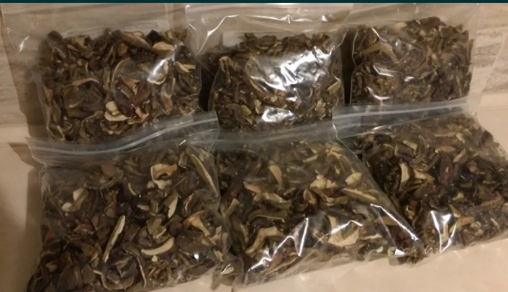 Hola, vendo boletes de laurel secos