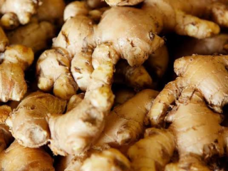 Disponemos de una variedad tipo de jengibre según las