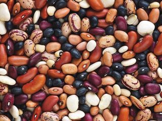 Frijoles al por mayor en stock. Frijoles de Ucrania