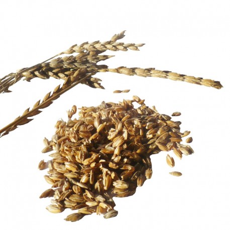 Hola, estoy buscando comprar 200 kg de espelta de invierno en una cáscara para sembrar
