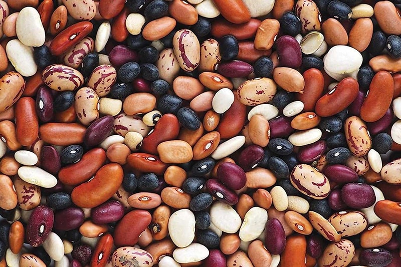 Frijoles con una amplia gama