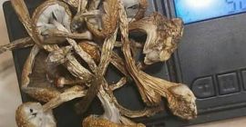 At Affordable Price wikr me id: (anonymousfada) watsap email: E-mail: anonymousalphapharmacy (@) gmail (.) Com sitio web: Envío nocturno discreto dentro de EE