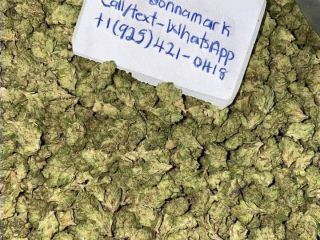 MARIHUANA DE PRIMERA CALIDAD PARA TODOS LOS PACIENTES CON