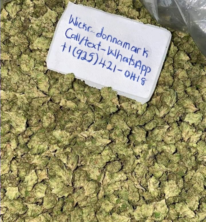 MARIHUANA DE PRIMERA CALIDAD PARA TODOS LOS PACIENTES CON CÁNCER Y LOS AMANTES DE LAS MALEZAS, TAMBIÉN SE HAY SEMILLAS Y ACEITE DISPONIBLES, LICENCIA / TARJETA