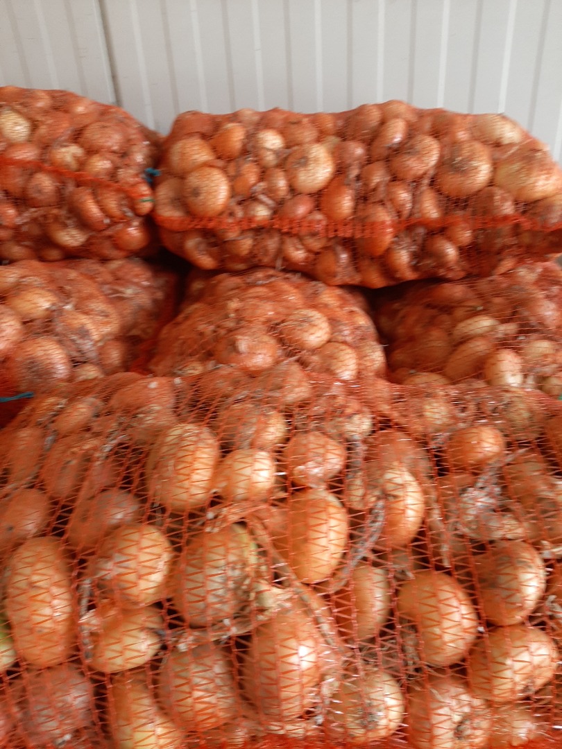 Vendo cebollas Stuttgarter Reisen recolectadas a mano empaquetadas en sacos de 20 kg