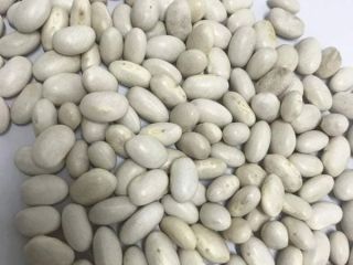 Frijoles rojos y blancos disponibles. Condiciones de pago TT.