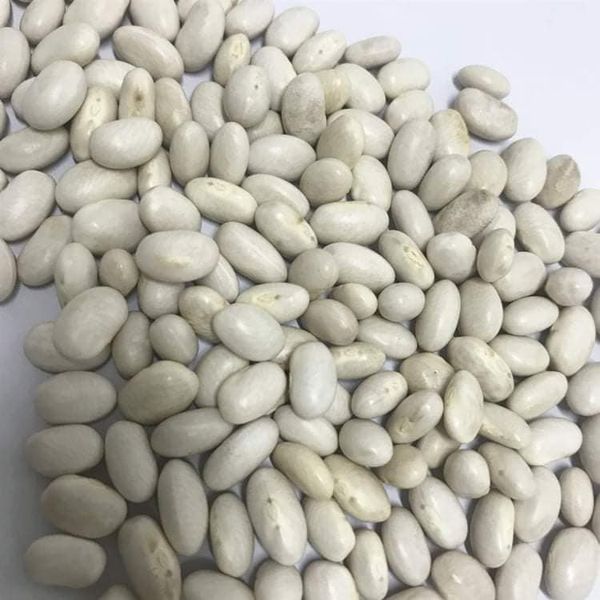 Frijoles rojos y blancos disponibles
