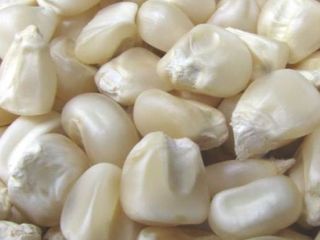 MAÍZ BLANCO Y AMARILLO, MAÍZ KERNEL ENTERO El maíz