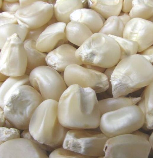 MAÍZ BLANCO Y AMARILLO, MAÍZ KERNEL ENTERO El maíz amarillo es una variedad de maíz dulce
