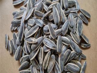 rop Black Sunflower Seeds Precio de alta calidad -
