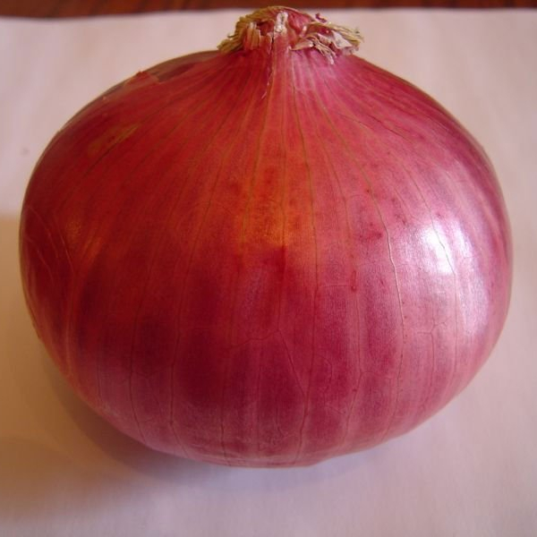Ya sean cebollas blancas, rojas o amarillas, estas verduras picantes de allium contienen numerosos beneficios para la salud además de un gran sabor