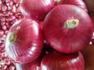 Ya sean cebollas blancas, rojas o amarillas, estas verduras