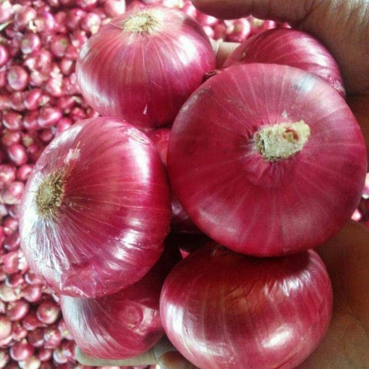 Ya sean cebollas blancas, rojas o amarillas, estas verduras picantes de allium contienen numerosos beneficios para la salud además de un gran sabor