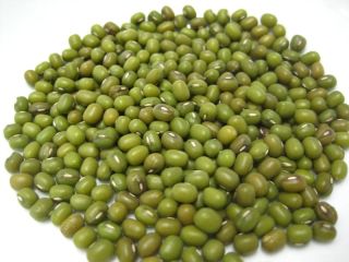 El frijol mungo, alternativamente conocido como gramo verde, maash