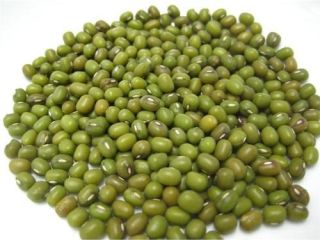 El frijol mungo, alternativamente conocido como gramo verde, maash