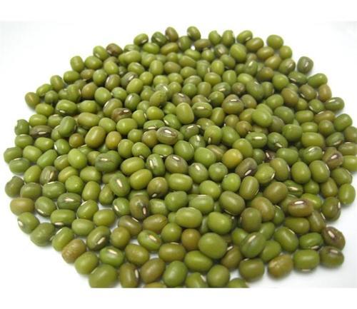 El frijol mungo, alternativamente conocido como gramo verde, maash o moong sánscrito ????? / mudga, es una especie vegetal de la familia de las leguminosas