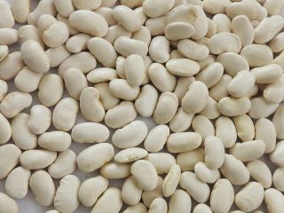 Como procesador directo y confiable de productos de frijoles
