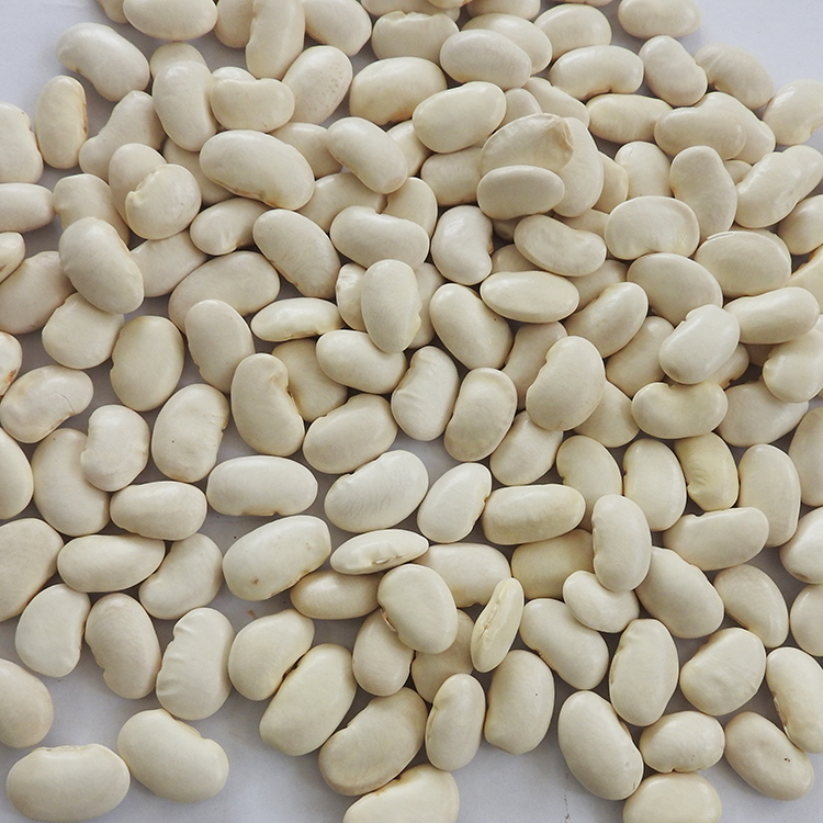 Como procesador directo y confiable de productos de frijoles comestibles en Tanzania, tenemos nuestra propia fábrica y almacén de procesamiento, los productos