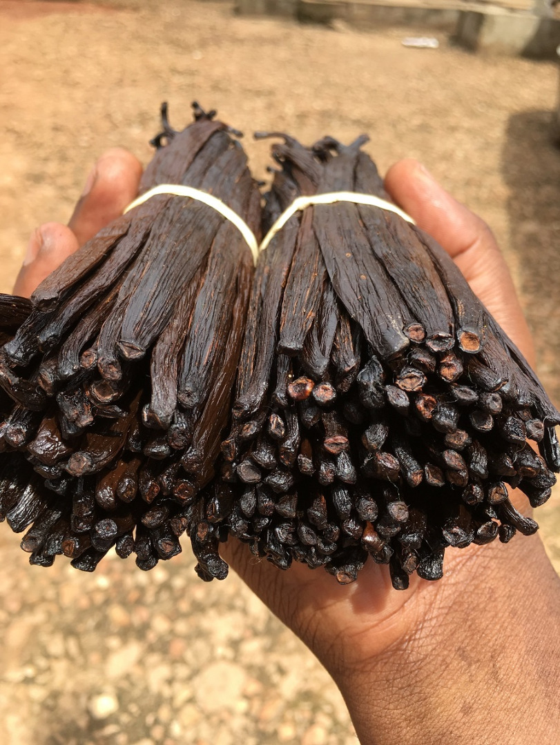 La vainilla es un saborizante derivado de las orquídeas del género Vanilla, principalmente de la especie mexicana, vainilla de hoja plana