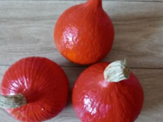 Venderé calabazas Hokkaido Orange, Małopolska, Chrzanów poviat, peso de