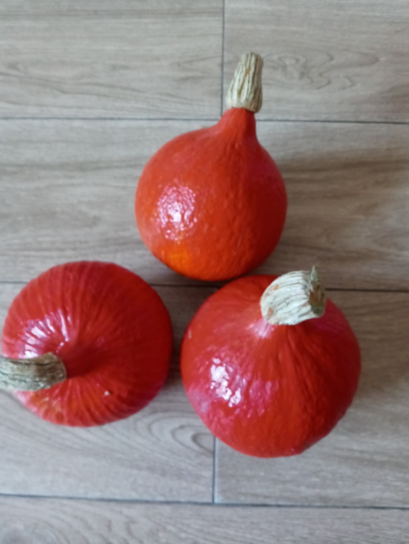Venderé calabazas Hokkaido Orange, Małopolska, Chrzanów poviat, peso de 0,80 a 2 kg