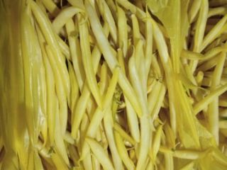 Venderé un bonito joven amarillo UNIDOR-warka Precio a acordar