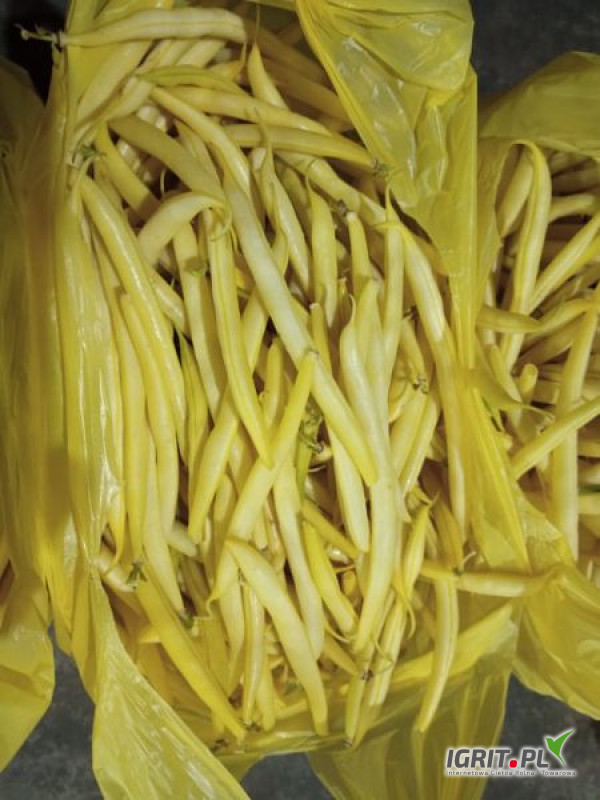 Venderé un bonito joven amarillo UNIDOR-warka Precio a acordar