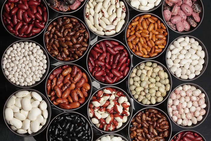 Frijoles al por mayor