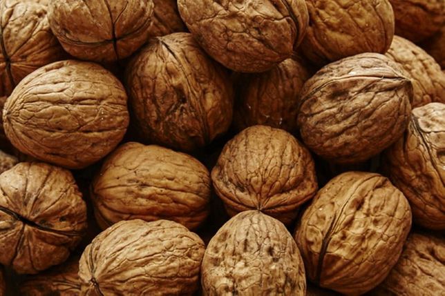 Compraré nueces al por mayor pequeñas y grandes (a partir de 200 kg)