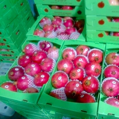 Granada rubí La más alta calidad de los jardines iraníes a un precio razonable