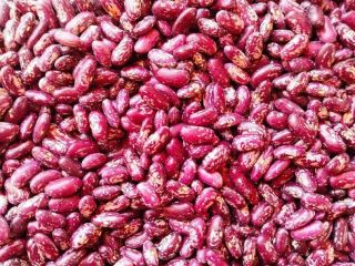 Estimados Amigos les ofrezco frijoles de alta calidad a