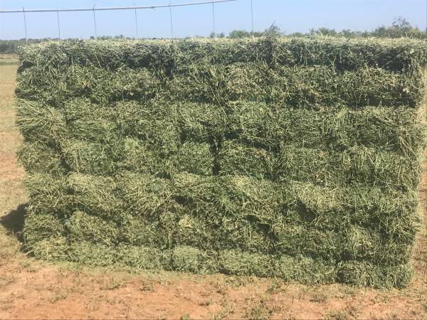 BALA DE ALFALFA Fardos de alfalfa de alta calidad Peso: 750 y 800 KG - 400KG (bajo pedido) Longitudes: 2,20 - 2,30 metros Ancho: 1 - 1,1 metros Alto: 80 metros
