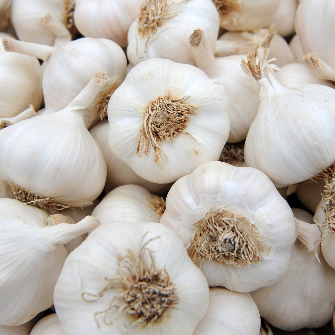 AJO Producto Variedad de ajo Ajo blanco normal / Ajo rojo / Ajo morado Ajo blanco puro / Ajo blanco nieve / Ajo súper blanco Tamaño 4.5-5.0cm, 5.0-5.5cm