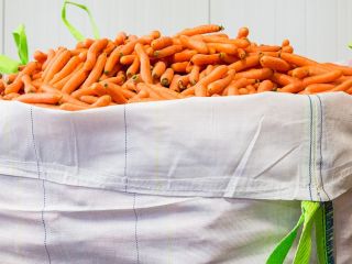 El precio de recogida es de 0,15 € /