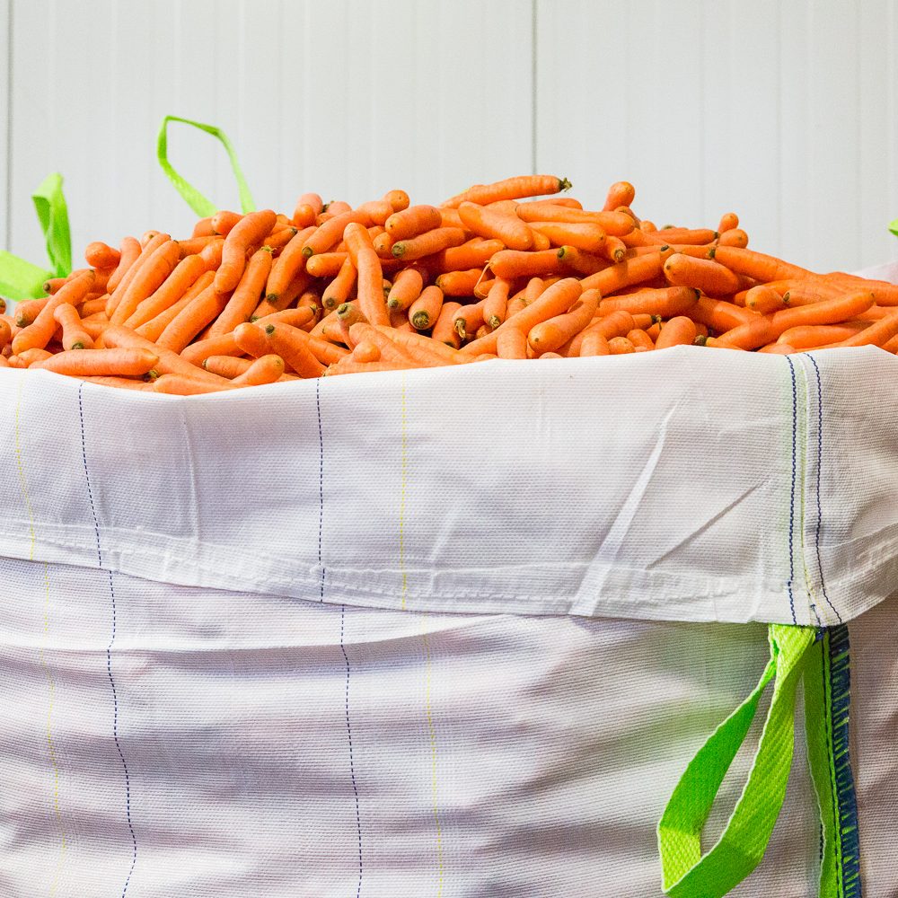El precio de recogida es de 0,15 € / kg