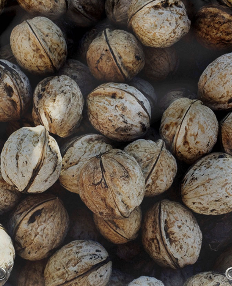 Vender al por mayor calidad de producción de nueces 2021 El precio es negociable en grandes cantidades Información en el teléfono