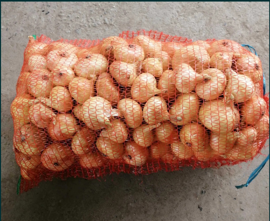 Vendo cebollas rumanas envasadas en sacos de 20 kg