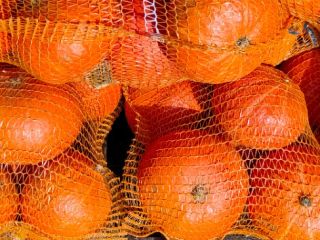 Calabaza de Hokkaido sin fertilizante sin pulverización cantidad 15