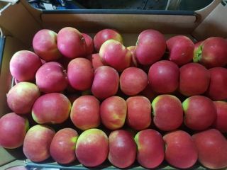 Manzanas Golden Delicious, Gala Schnico, RedJonaprince Select, Dark Ligol,