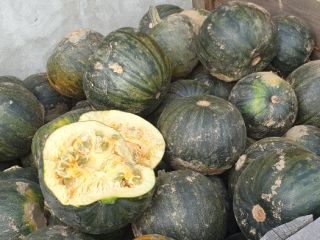Hola, tengo a la venta calabazas sin salpicaduras de