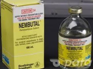 Compre Nembutal Pentobarbital Sodium Todas las Formas de Nembutal