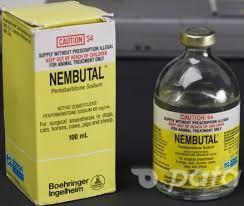Compre Nembutal Pentobarbital Sodium Todas las Formas de Nembutal incluyen; llame al Dr