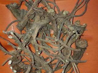 Una obra maestra de esta cosecha anual, limpia y