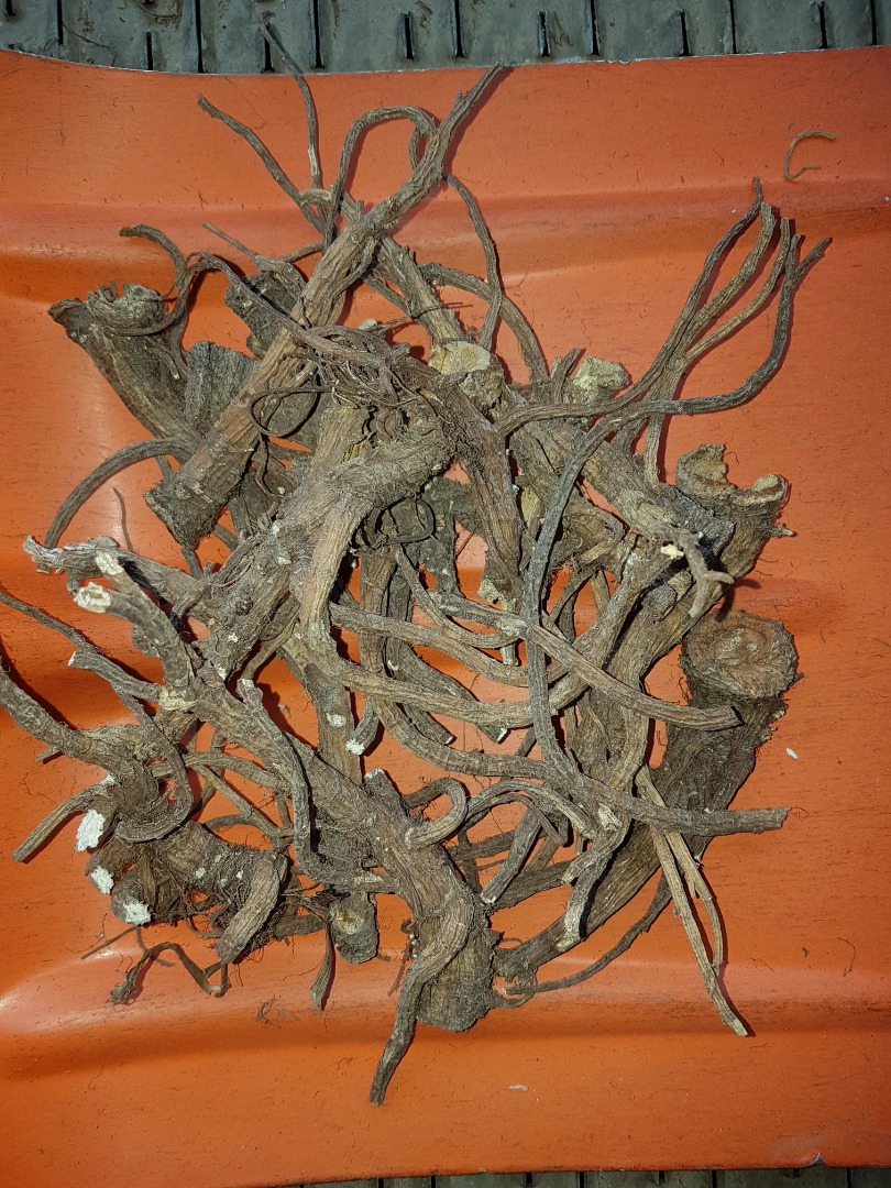 Una obra maestra de esta cosecha anual, limpia y lavada en un nuevo envase