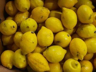 Venderé un limón de 2ª clase (con pequeñas imperfecciones,