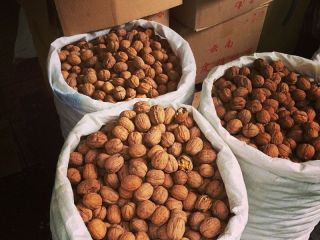 Compraré una nuez (nuez) pequeña y grande al por