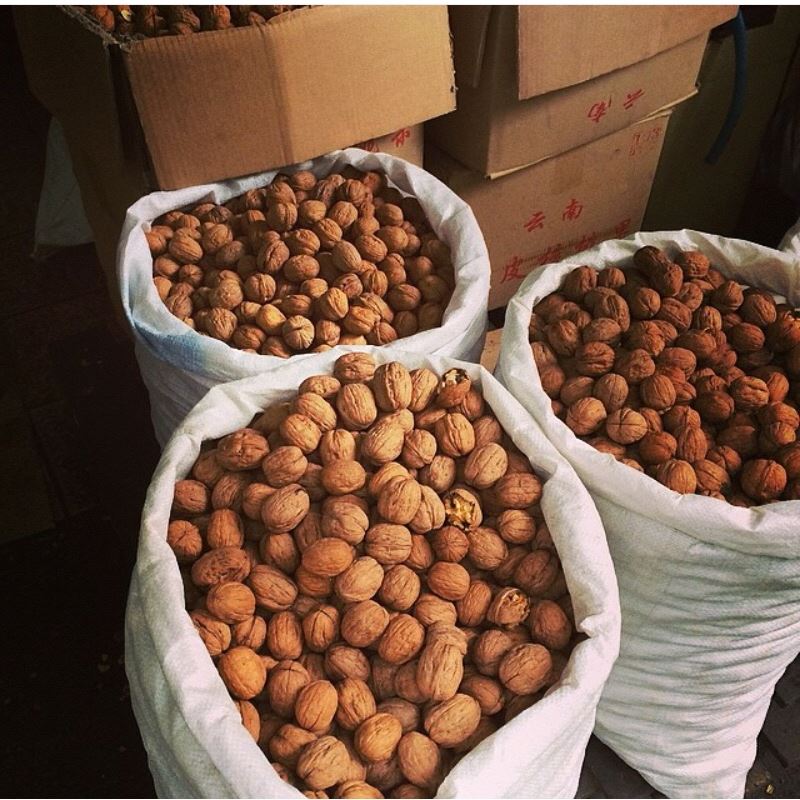 Compraré una nuez (nuez) pequeña y grande al por mayor (desde 200 kg)